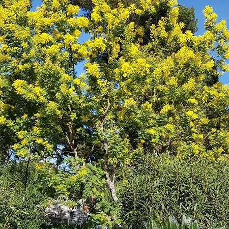 Rez-de-chaussée Dans Grand Jardin Provençal, à La Tatiana Apartamento *