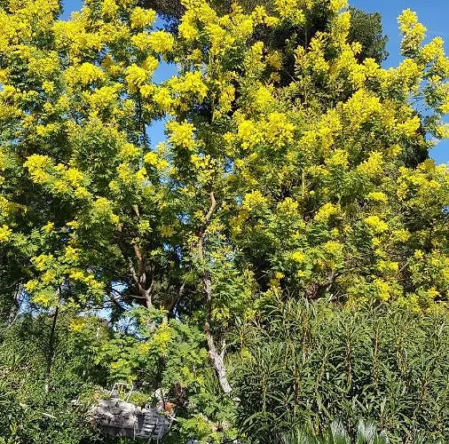 Rez-de-chaussee Dans Grand Jardin Provencal, A La Tatiana Apartman *