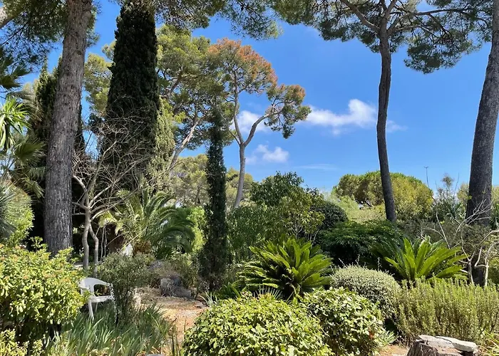 Rez-de-chaussee Dans Grand Jardin Provencal, A La Tatiana Antibes